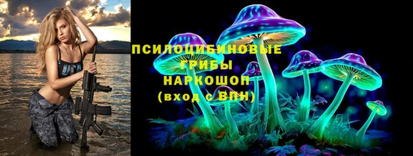 СК Арсеньев