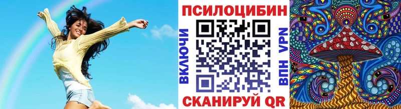 наркошоп  Хотьково  Псилоцибиновые грибы Psilocybine cubensis 